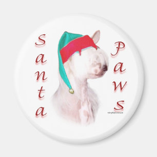 Aimant Père Noël Paws Chinois