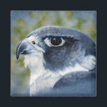 Aimant Peregrine-aérographe<br><div class="desc">Les faucons pèlerins sont des rapaces de taille de corbeau,  célèbres pour leur vitesse et leur beauté. L'artiste de la faune Kathie Miller a capturé ce magnifique oiseau de proie avec l'aérographe.</div>