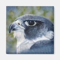 Peregrine-aérographe