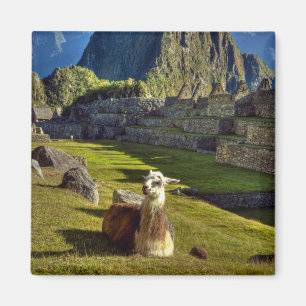 Aimant Pérou, Andes, Monts des Andes, Machu Picchu