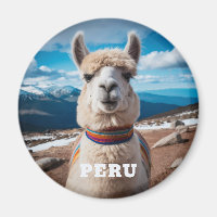 Pérou Llama