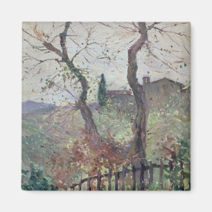 Aimant Pérouse, Ombrie, 1894