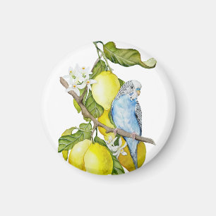 Aimant Perroquet bleu dans l'arbre à citrons - Art botani