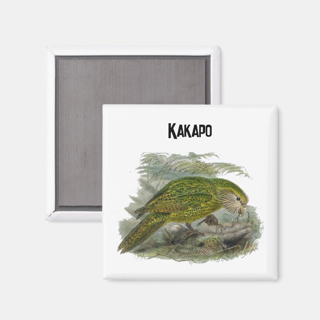 Aimant Perroquet de Chouette verte Kakapo, Illustration d (Recto/Verso)