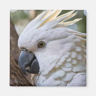 Aimant Perroquet de Cockatoo australien blanc,