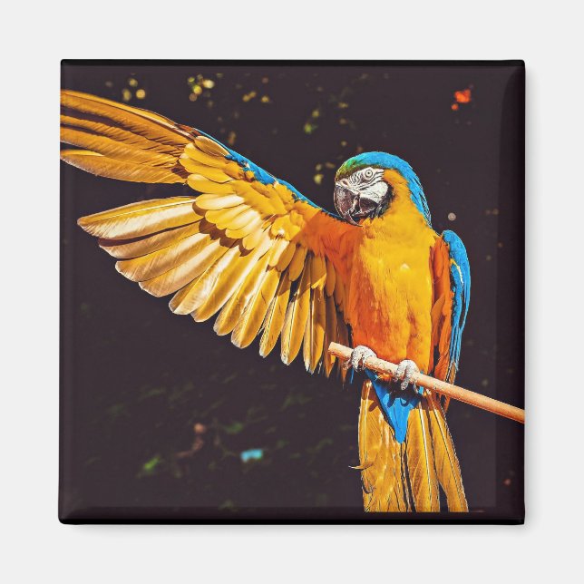 Aimant Perroquet de Macaw jaune (Devant)