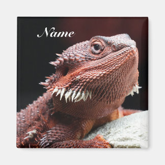 Aimant Personalized Adult Red Bearded Dragon Lizard