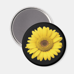 Aimant Pétales de marguerite jaune