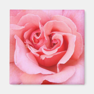 Aimant Pétales de rose