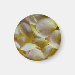Aimant Pétales de rose jaune