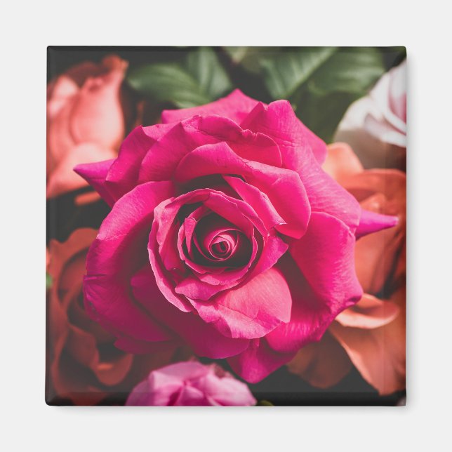 Aimant Pétales de rose rose floral (Devant)