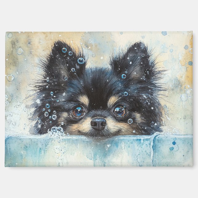 Aimant Petit Chien de Poméranie dans la baignoire (Recto)
