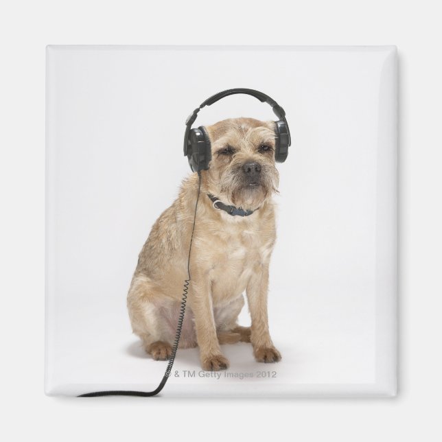Aimant Petit chien portant un casque (Devant)