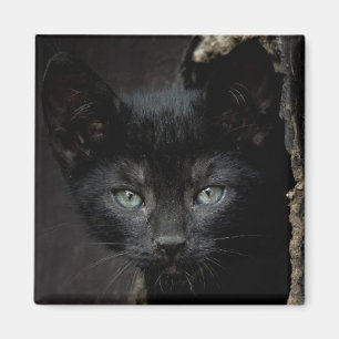 Aimant Petit Kitty noir