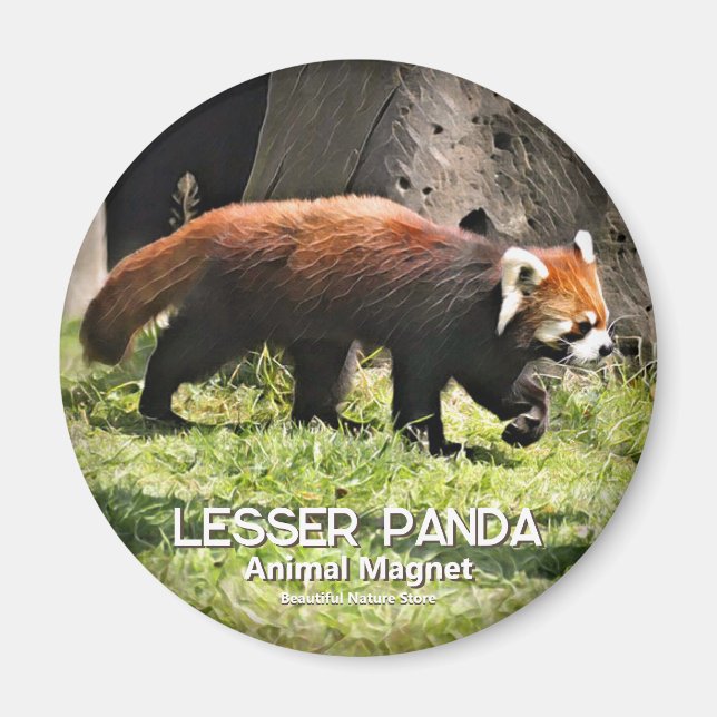 Aimant Petit panda (Devant)