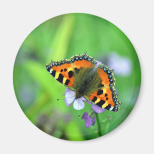 Aimant Petit papillon Tortoiseshell