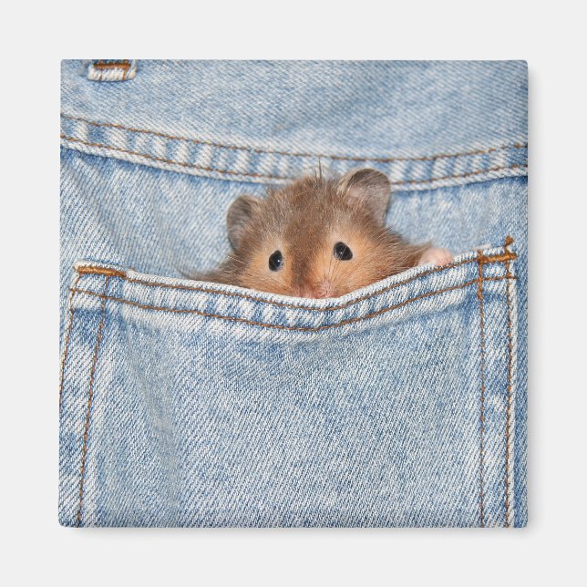 Aimant petit peekaboo (Devant)