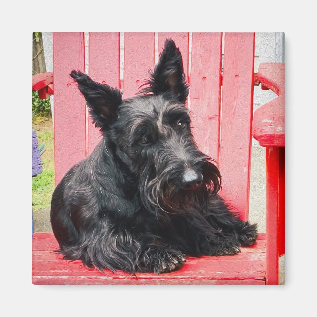 Aimant Petit Scottie dans un grand fauteuil rouge (Devant)