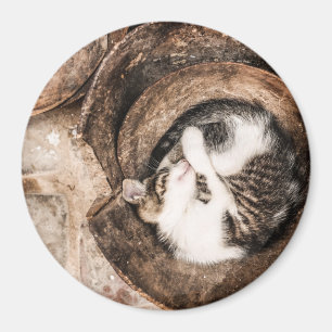 Aimant Petit somme de chat