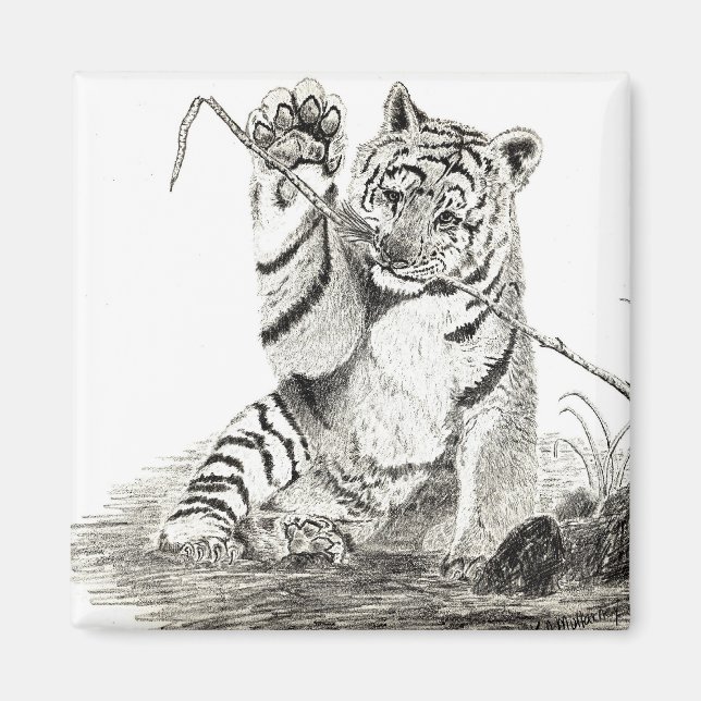 Aimant Petit tigre jouant à l'aimant (Devant)