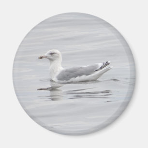 Aimant Petite mouette