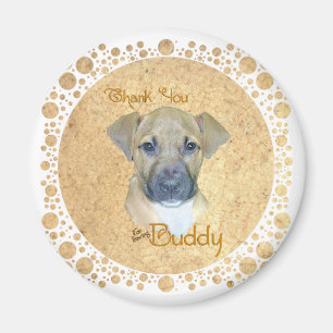 Aimant Petite pompe blessée - Secourue !