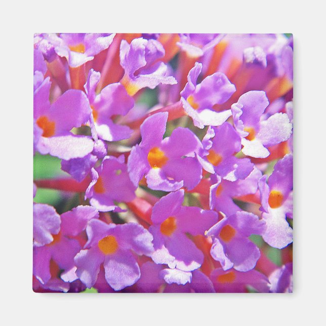 Aimant Petites fleurs mignonnes violettes (Devant)