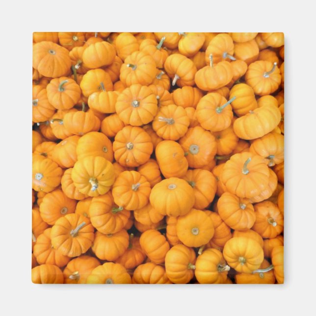 Aimant Petits Citrouilles de récolte de automne orange (Devant)