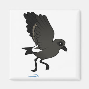 Aimant Pétrel de l'épuisement (flottement)