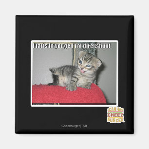 Aimant Pets I dans le direkshun gen'ral de yor