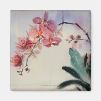 Aimant Phalaenopsis