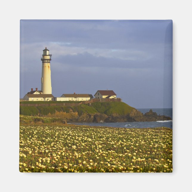 Aimant Phare de Pigeon Point State Beach à San (Devant)