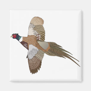 Aimant Pheasant