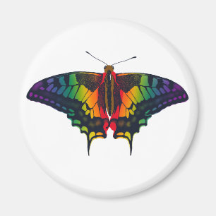 Aimant Philadelphie Rainbow Pride Flag Swallowtail