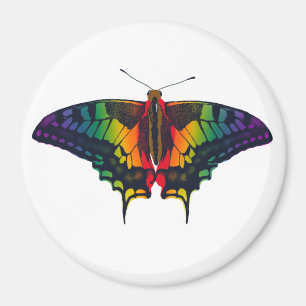 Aimant Philadelphie Rainbow Pride Flag Swallowtail