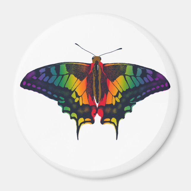 Aimant Philadelphie Rainbow Pride Flag Swallowtail (Devant)