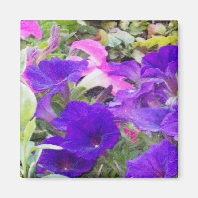 Aimant photo à fleurs violettes (Devant)