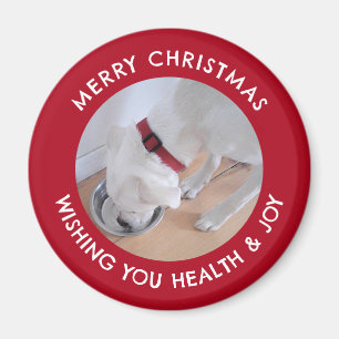 Aimant Photo de chien blanc mignon en santé Joyeux Noël r