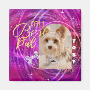 Aimant Photo de chien de compagnie rayonnant Mangenta