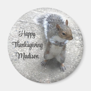 Aimant Photo de Cute Little Squirrel avec Queue Fluffy