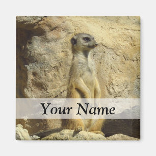 Aimant Photo de Cute meerkat