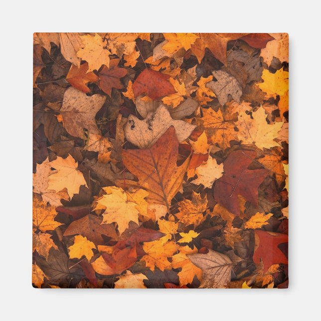 Aimant Photo de feuilles d'automne (Devant)