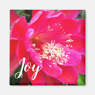 Aimant Photo de fleur rose tropicale
