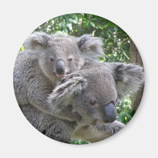 Aimant Photo de koala aimanté et bébé Australie
