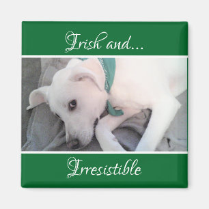Aimant Photo de la Saint Patrick de Chien Chien blanc mig