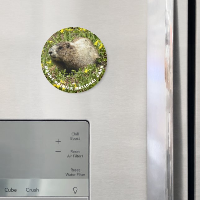 Aimant Photo des marmottes du parc national du Mont-Raini (In situ (réfrigérateur))