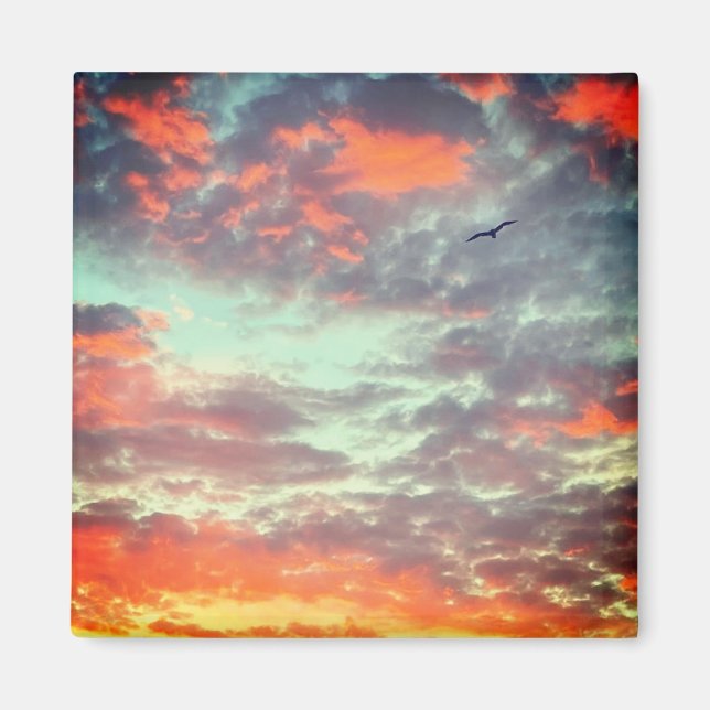 Aimant Photo d'oiseau volant dans les nuages (Devant)