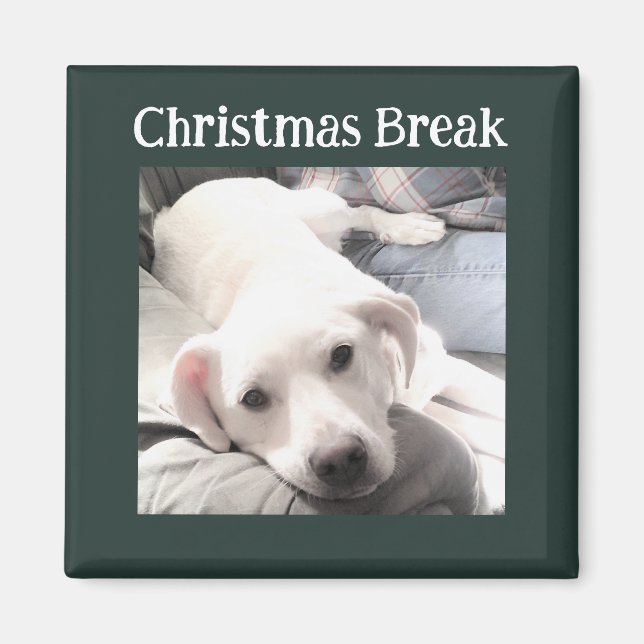 Aimant Photo du chien mignon Noël Break Green (Devant)