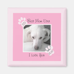 Aimant Photo d'un chien blanc mignon unique Monogramme Pa