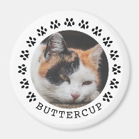 Photo Empreintes de pattes de chats noirs